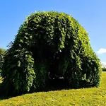 Vakantiehuis Le Domaine Des Roseraies- Maupassant By Interhome